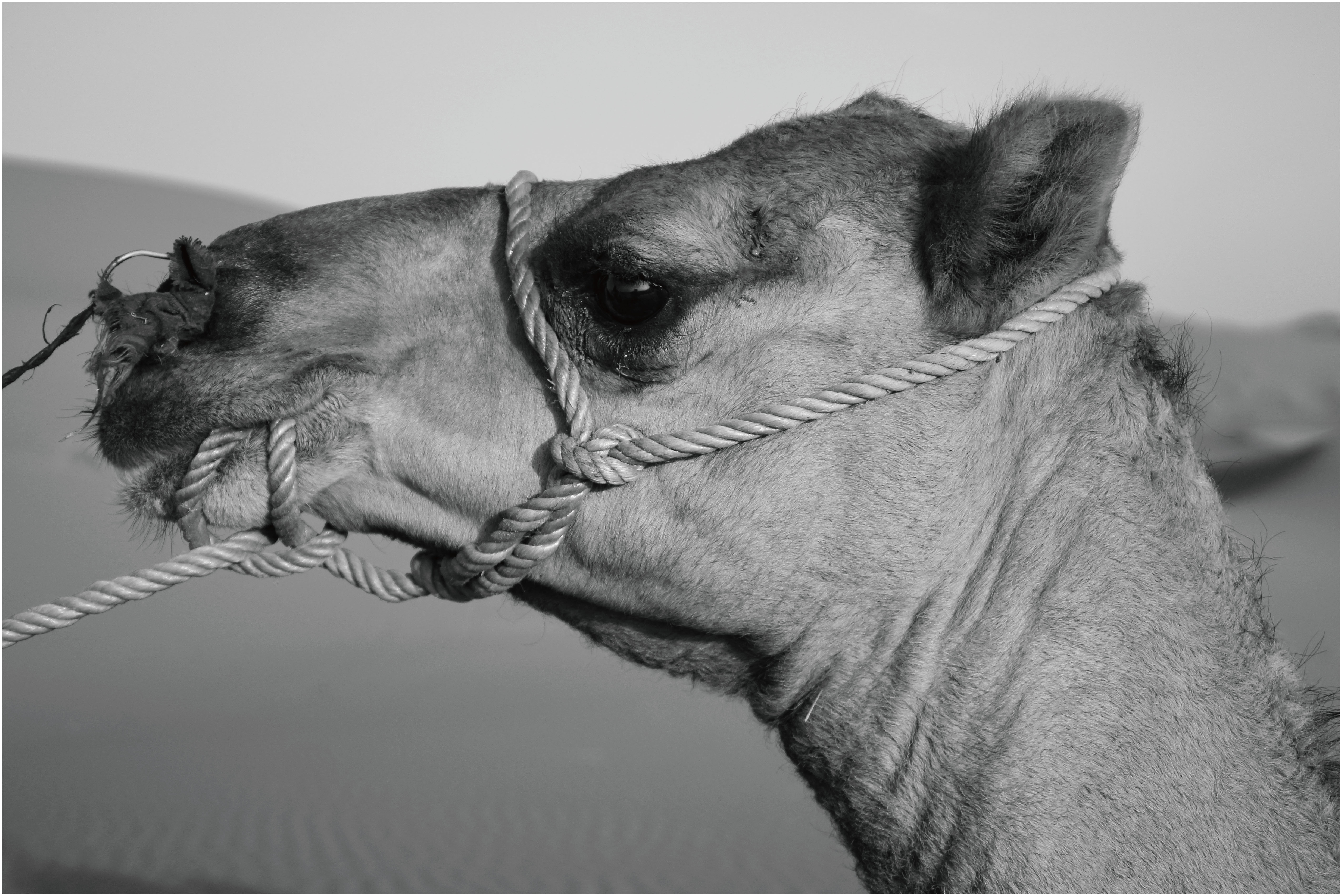 spainmoroccco Image 1